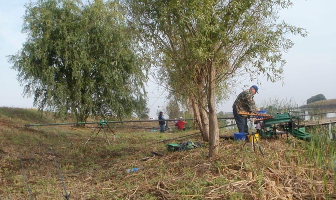 Pecasok 2016. szeptember 25. képek